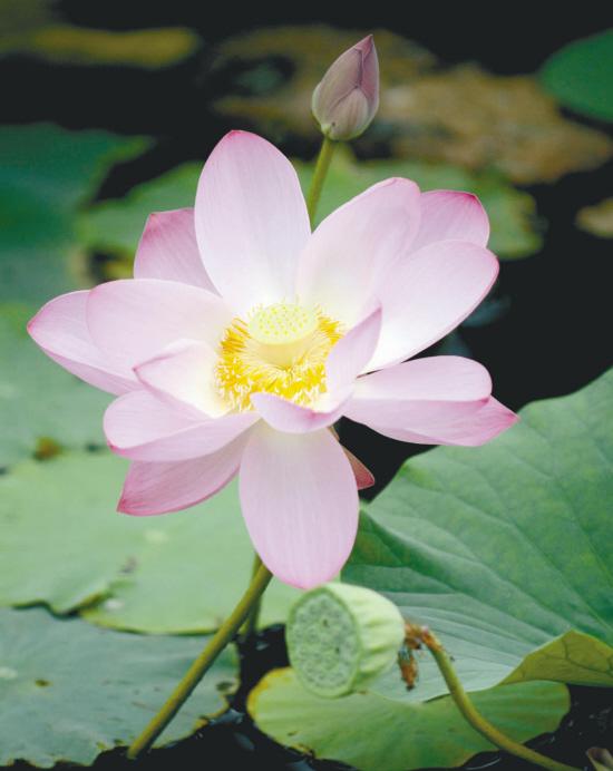 &#76;&#69;&#89;&#85;&#46;&#67;&#79;&#77;&#45;&#20048;&#40060;&#40;&#20013;&#22269;&#41;